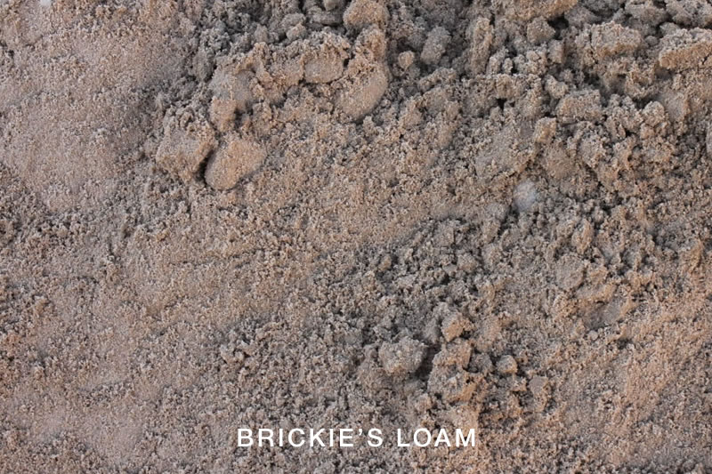 Brickies Loam